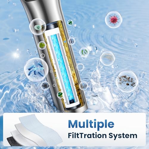 Filtered Shower Head with Handheld JOMST