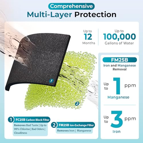 Iron Mangaese Whole House Water Filter System Also Eliminates Chlorine
