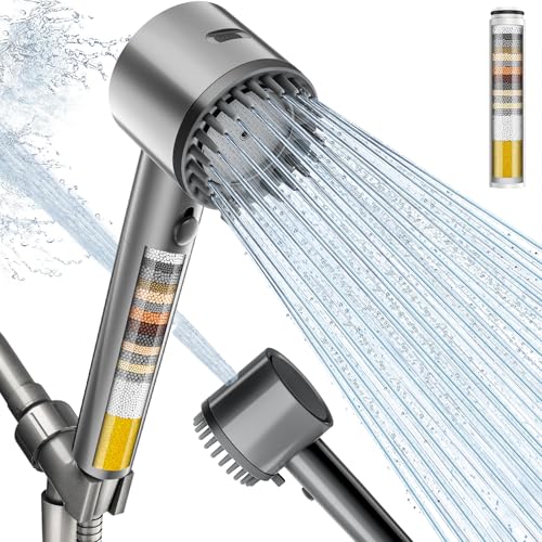 Filtered Shower Head with Handheld