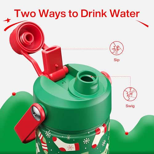 Christmas Insulated Water Bottle with Straw