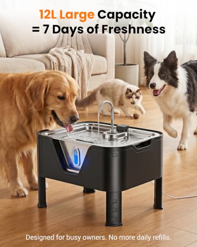 3.17Gal 12L Large Dog Water Fountain Elevated Dog Bowls with 3 Filters (405.82 Fl Oz)