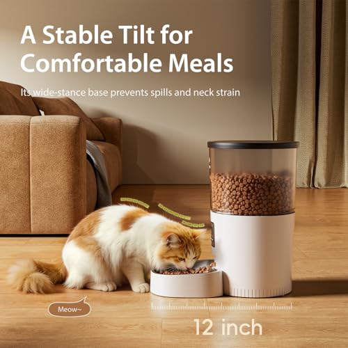 Automatic Cat Feeder