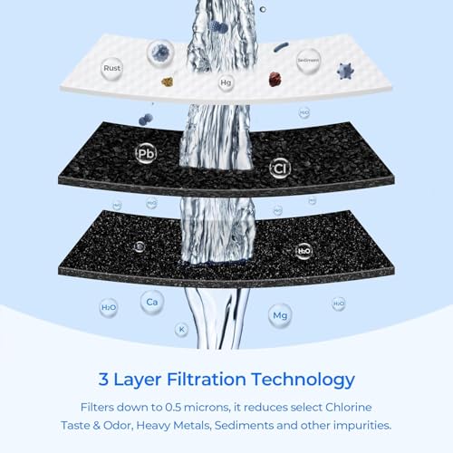 WF3CB Refrigerator Water Filter (2 Count)