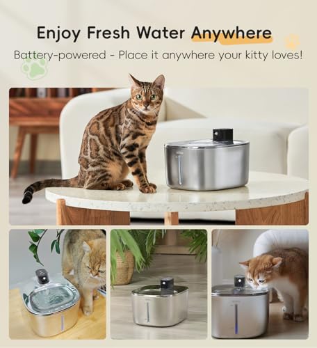 Cat Water Fountain Stainless Steel