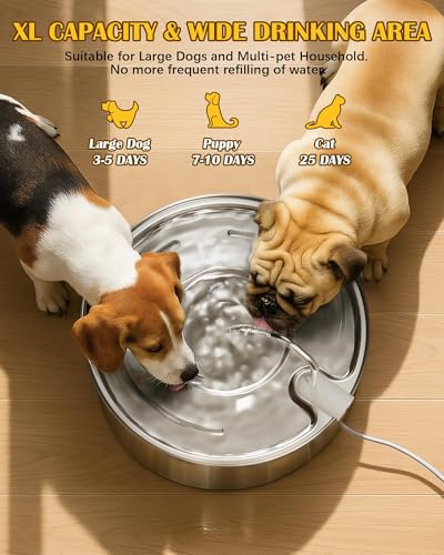Dog Water Fountain for Large Dogs