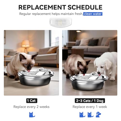 Cat Water Fountain Filters