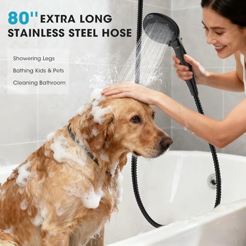 Filtered Shower Head with Handheld