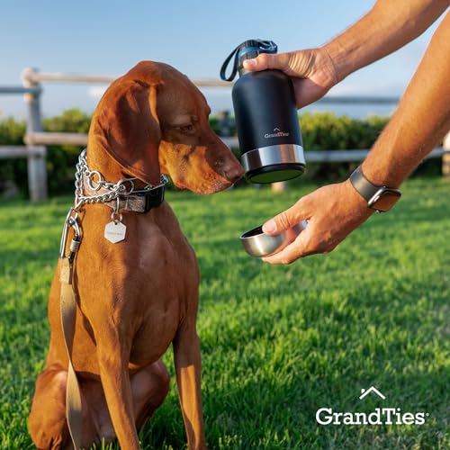Insulated Portable Water Bottle with 2 Detachable Dog Bowl Dispenser