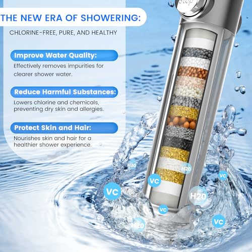 Filtered Shower Head with Handheld
