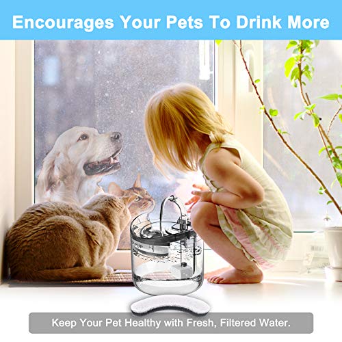 Cat Water Fountain Filter Replacement 6pcs Cat Fountain Filter Arc