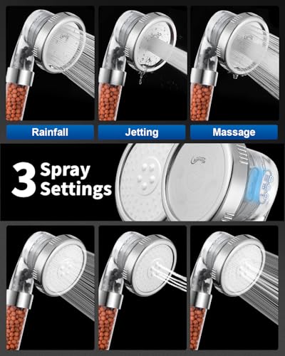 Filtered Shower Head with Handheld
