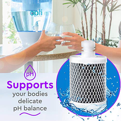 OPTI 200 Gallon Alkaline Replacement Filter for Drop and Flex Systems