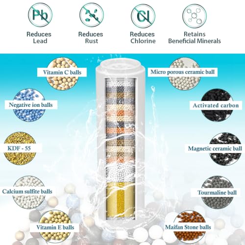 Water Filter Compatible with INAVAMZ (2 Count)