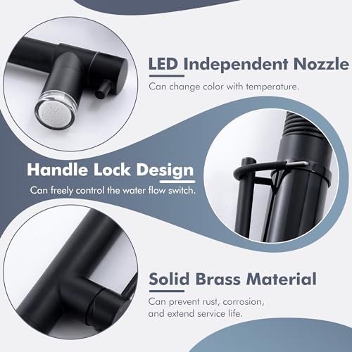 Matte Black Kitchen Faucet with Pull Down Sprayer LED Double