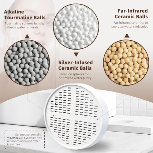 Vitamin Shower Filter Cartridge Compatible with AquaHomeGroup (2 Count)