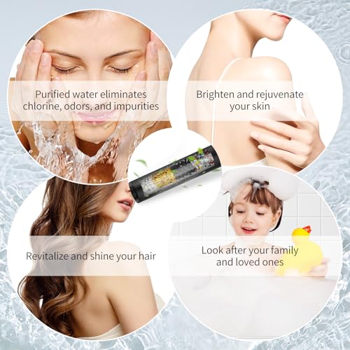 Filtered Shower Head with Handheld
