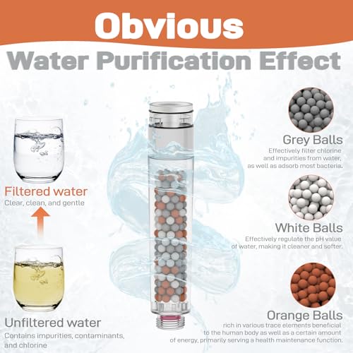 Filtered Handheld Showerhead with 30