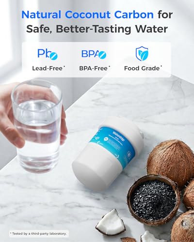 WD F13 Refrigerator Water Filter