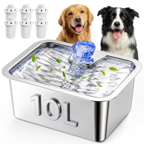2.56Gal Large Dog Water Fountain Dispenser