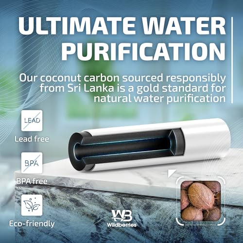 DA29 00020B Replacement for Samsung Water Filter DA97 (2 Count)
