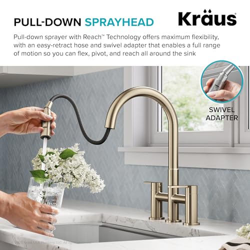 Oletto Bridge Kitchen Faucet with Pull