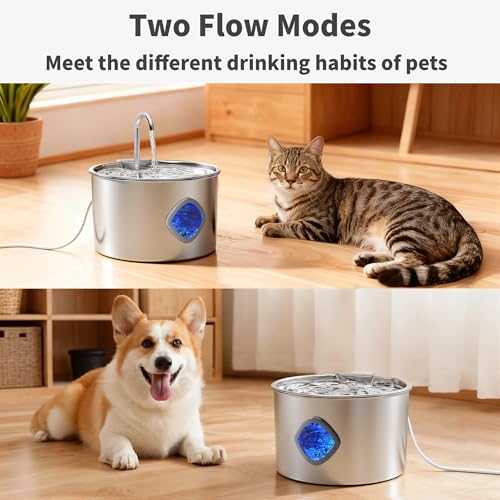 Cat Water Fountain Stainless Steel