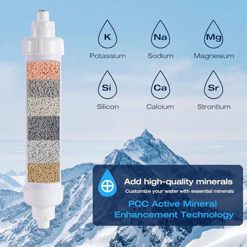 Remineralization Filter