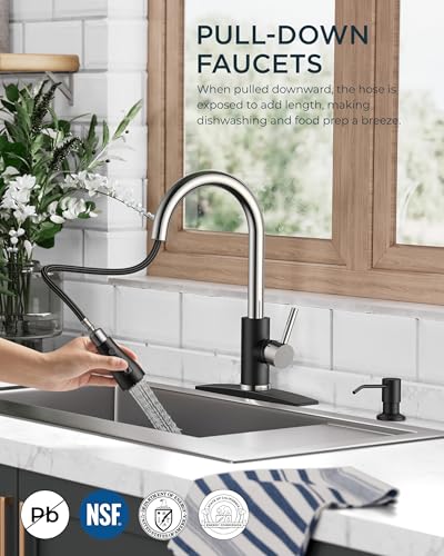 Kitchen Faucet with Soap Dispenser