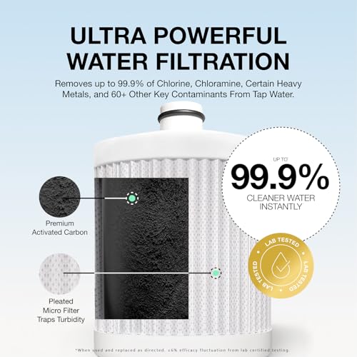 Signature Shower Filter