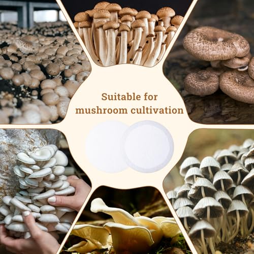 60 PCS 2.5" 2mm Monotub Adhesive Filter Discs for Mushroom Growing
