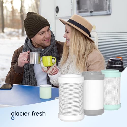 Replacement Filter for GFRVWP03 RV Water Filter System 1 set (3 Count)