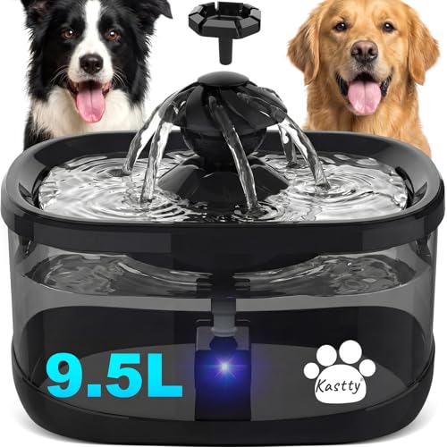 9.5L Dog Water Fountain