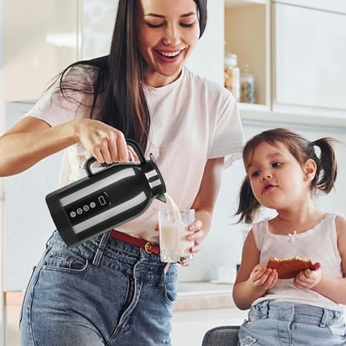 Car Water Boiler 12V