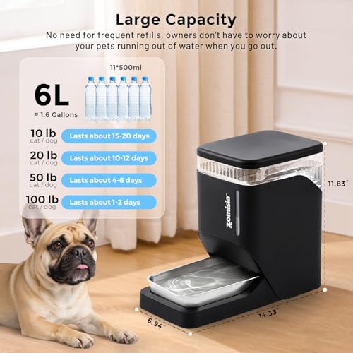 Automatic Dog Water Dispenserr 6L with Stainless Steel Bowl