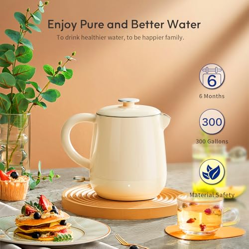 Water Filter Replacement for EDR3RXD1 (3 Count)