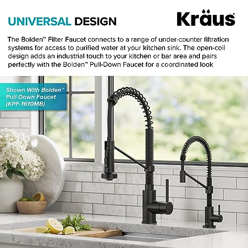 Bolden Single Handle Drinking Water Filter Faucet for Reverse Osmosis or Water Filtration System in Matte Black
