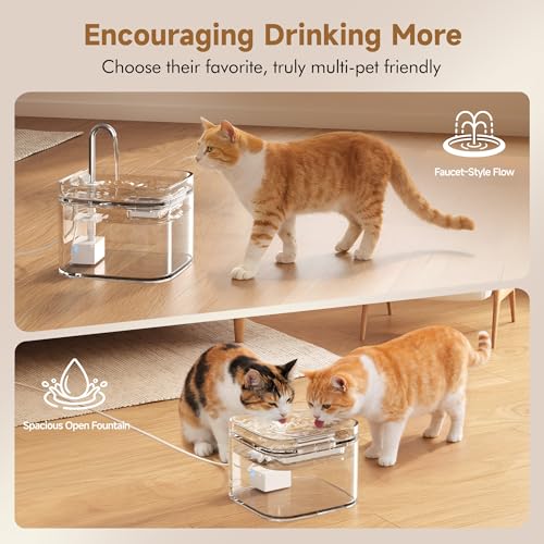 Glass Cat Water Fountain