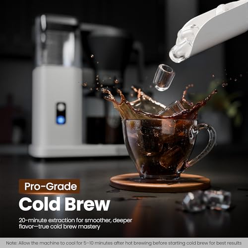 SCA Certified 8 Cup Drip Coffee Maker