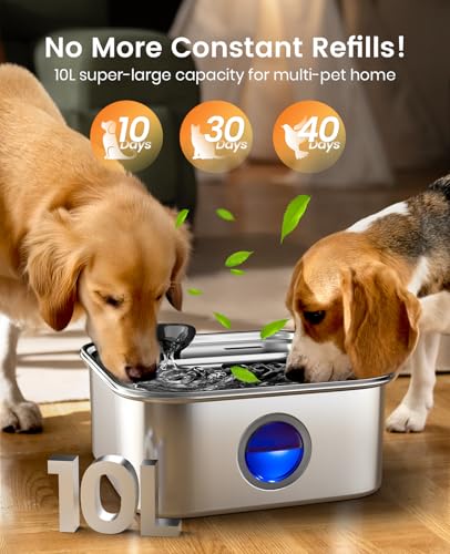 10L 2.6Gal Dog Water Fountain for Large Dogs