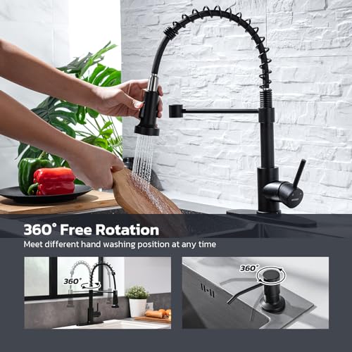 Kitchen Faucet with Soap Dispenser