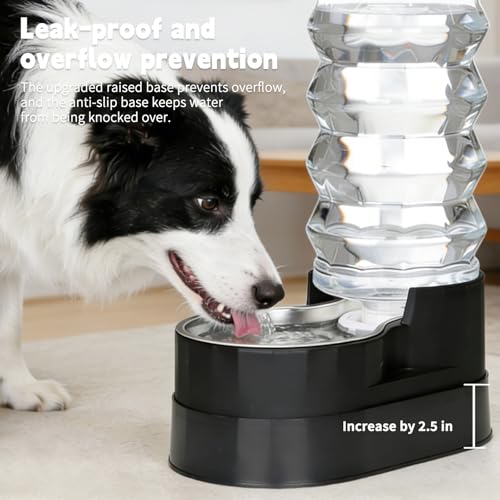 9L Elevated Dog Water Dispenser