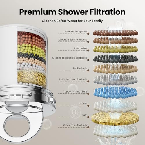 6 inch Rain Shower Head with Filter