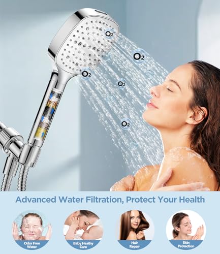 Filtered Shower Head with Handheld