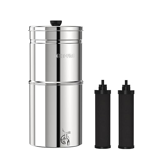 ICEPURE 2.25G Gravity-fed Water Filter System, 304 Stainless Steel Countertop System with Metal Faucet, 2 Black Carbon Filters, Reduce 99% Chlorine, Lead for Home, Camping, Travel, Emergencies