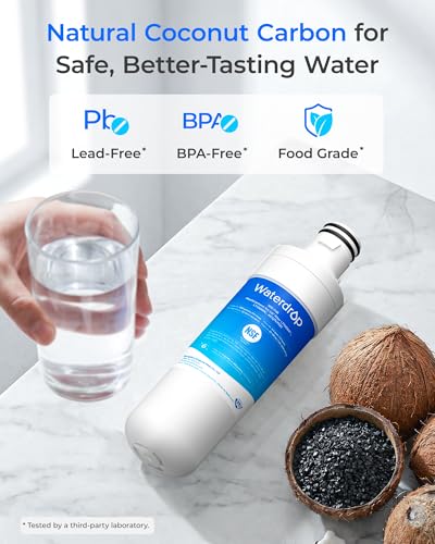 LT1000PC Refrigerator Water Filter and Air Filter (2 Count)