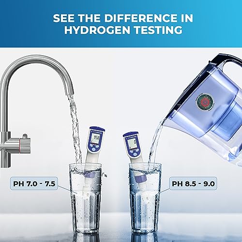 Pitcher of Life 3.8L Alkaline Water Pitcher with 2L Filtering Capacity