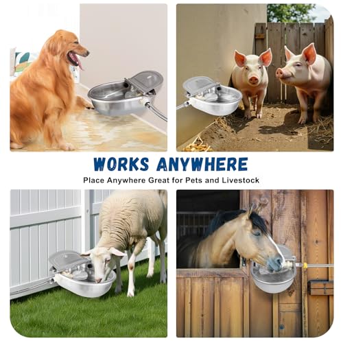 Automatic Water Dispenser for Dogs
