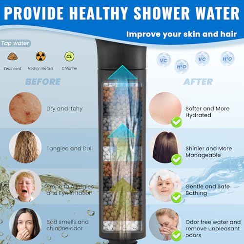 Filtered Shower Head with Handheld