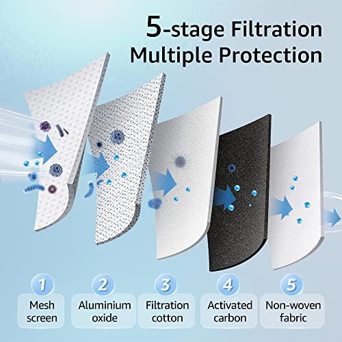 Fluoride Water Filter (2 Count)