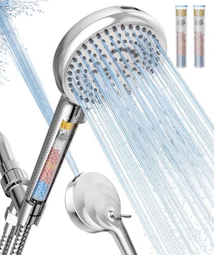 Filtered Shower Head with Handheld